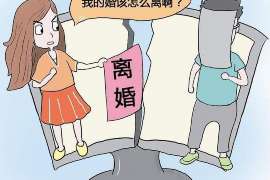 乌达遇到恶意拖欠？专业追讨公司帮您解决烦恼